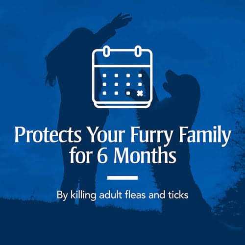 Flea & Tick Collar for Dogs K84290