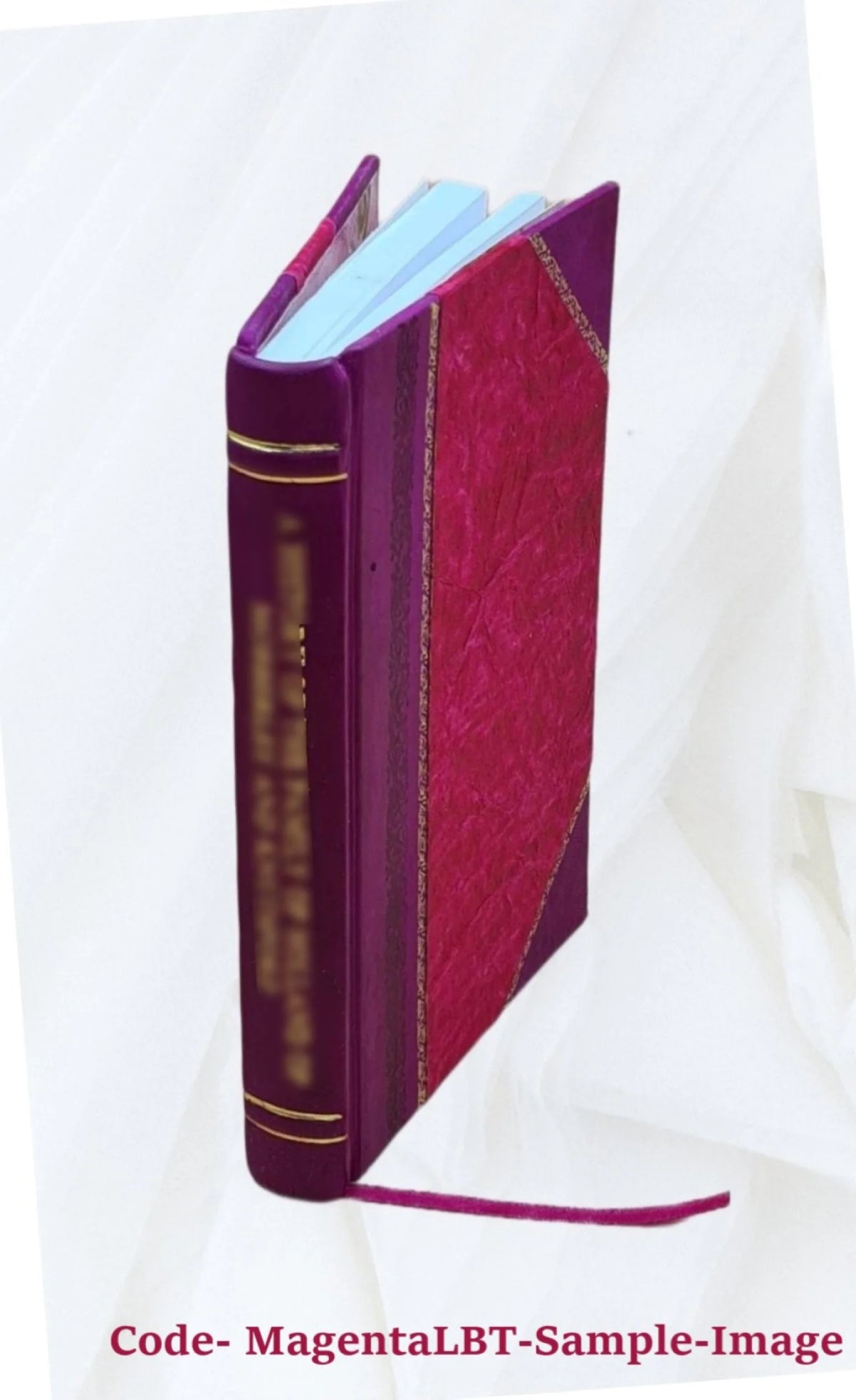 1917 Leather Bound Volume E201