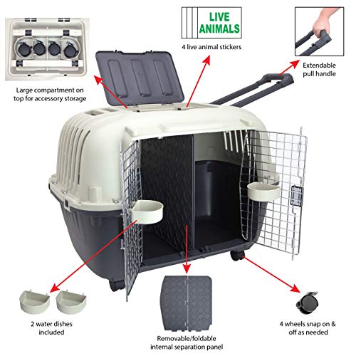 Large Gray Plastic Dog Crate G1562
