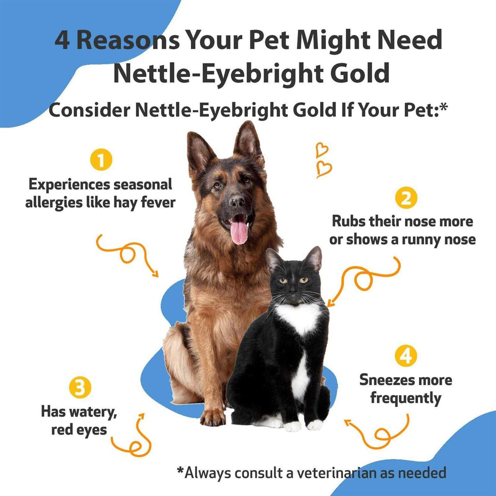 Nettle Eyebright for Dogs N549