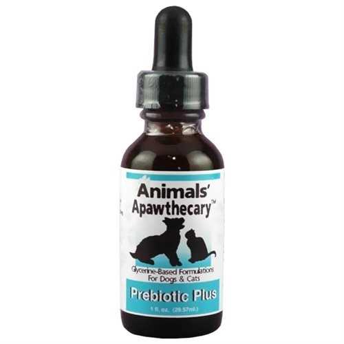 Healthy Gut Prebiotic Dog & Cat Supplement C49666