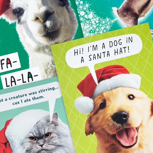Boxed Christmas Cards with Envelopes P856