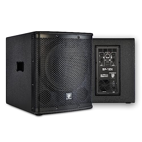 12 inch 1000W Powered PA Subwoofer with Class-D Amplifier N362