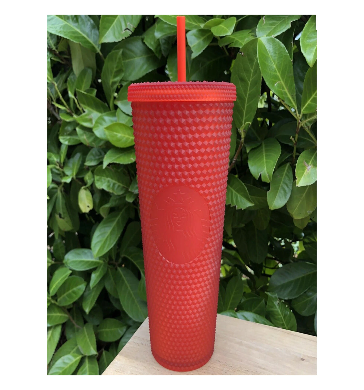 Red Studded Tumbler with Straw B961