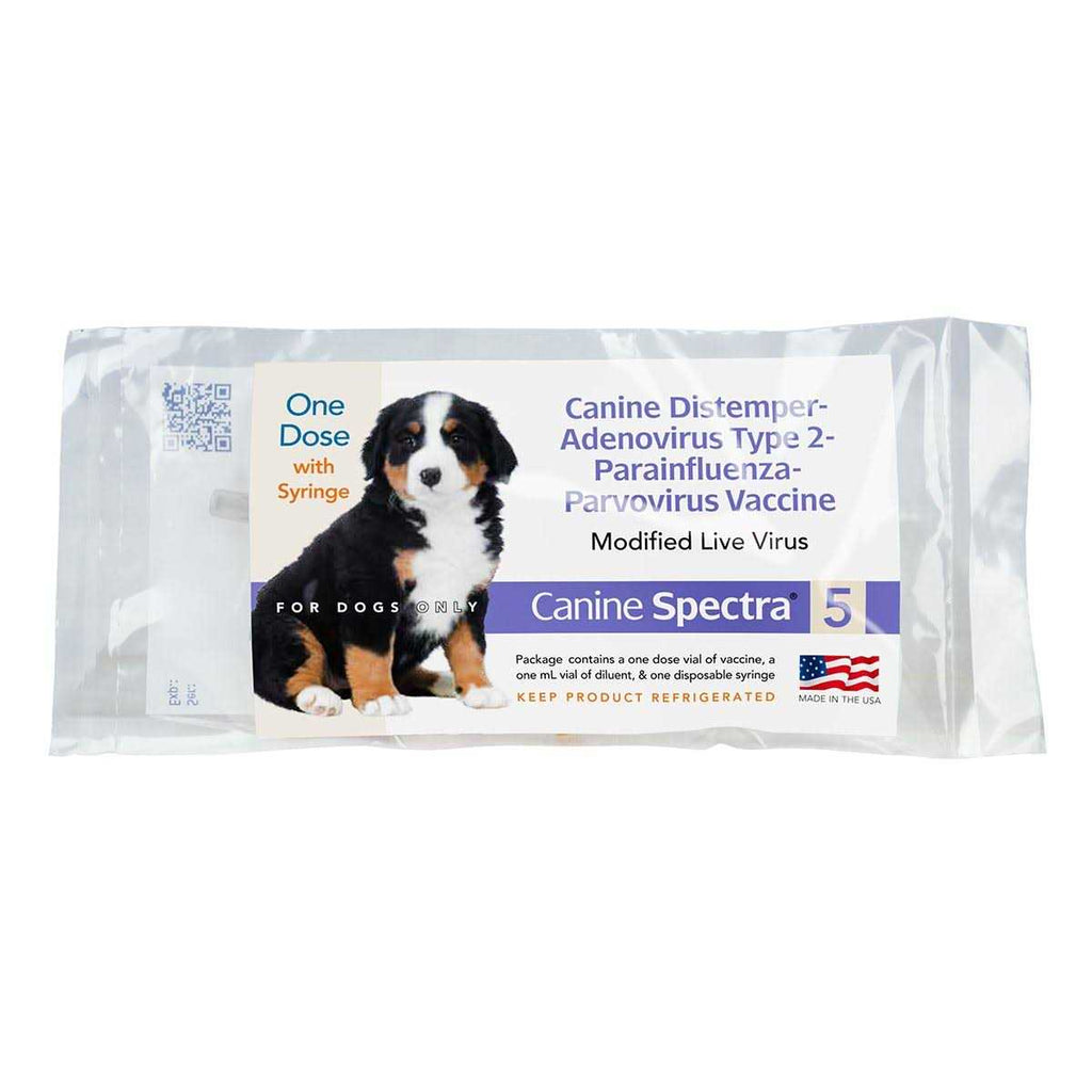 Dog Vaccine Y367571