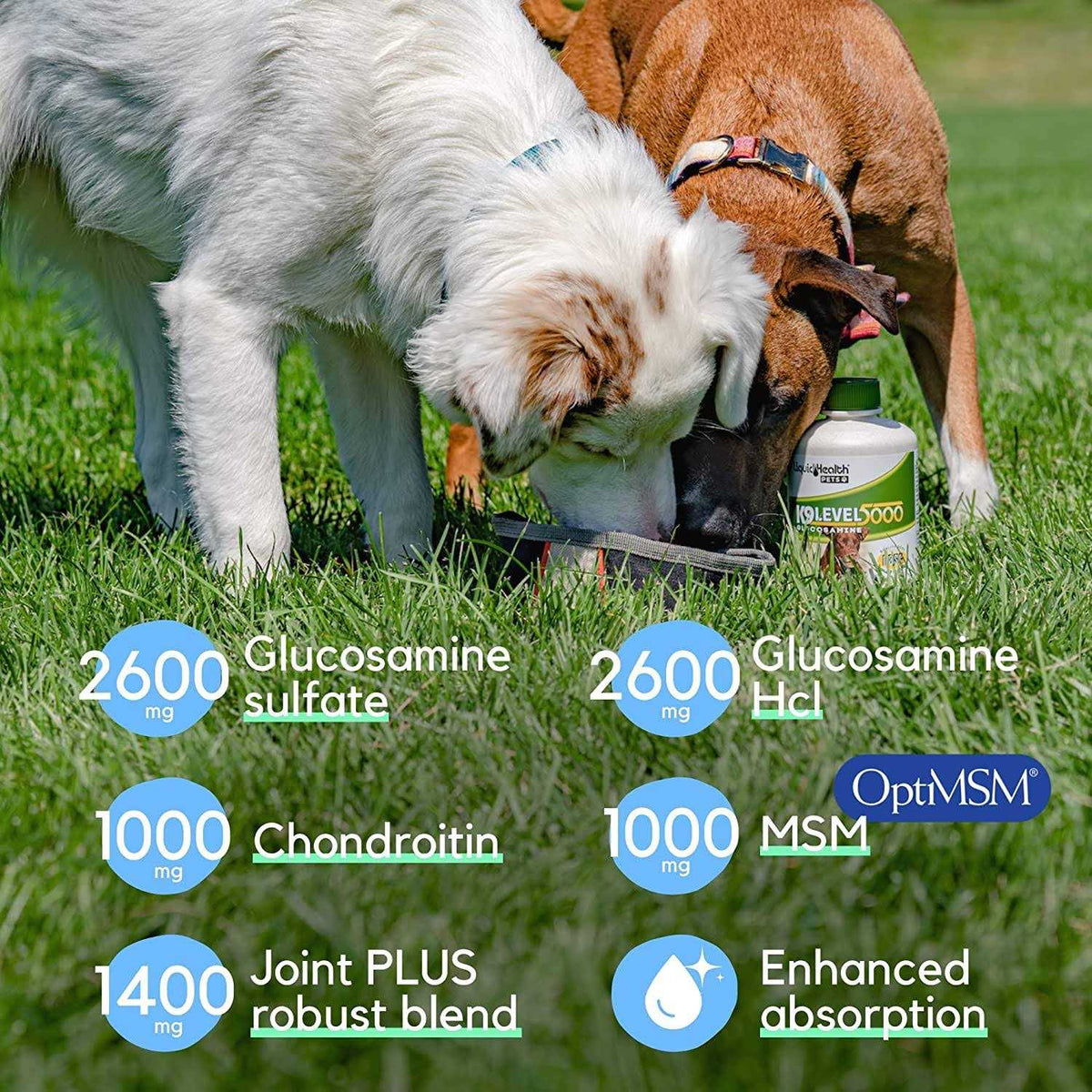 Liquid Health K9 Level 5000 Glucosamine P716