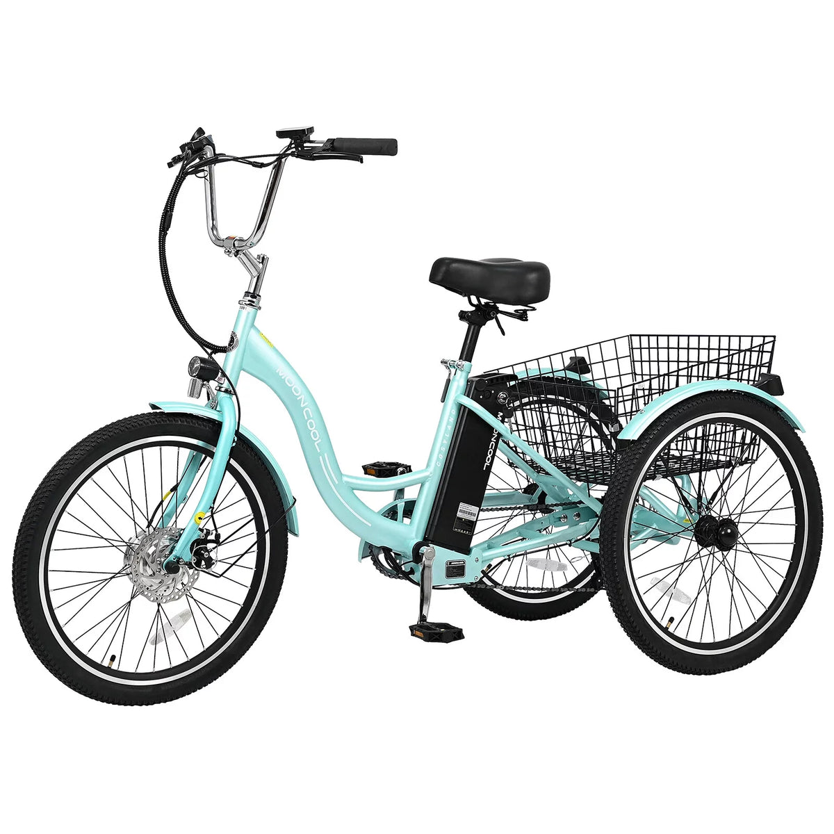 Electric Tricycle with Removable Lithium Battery E995