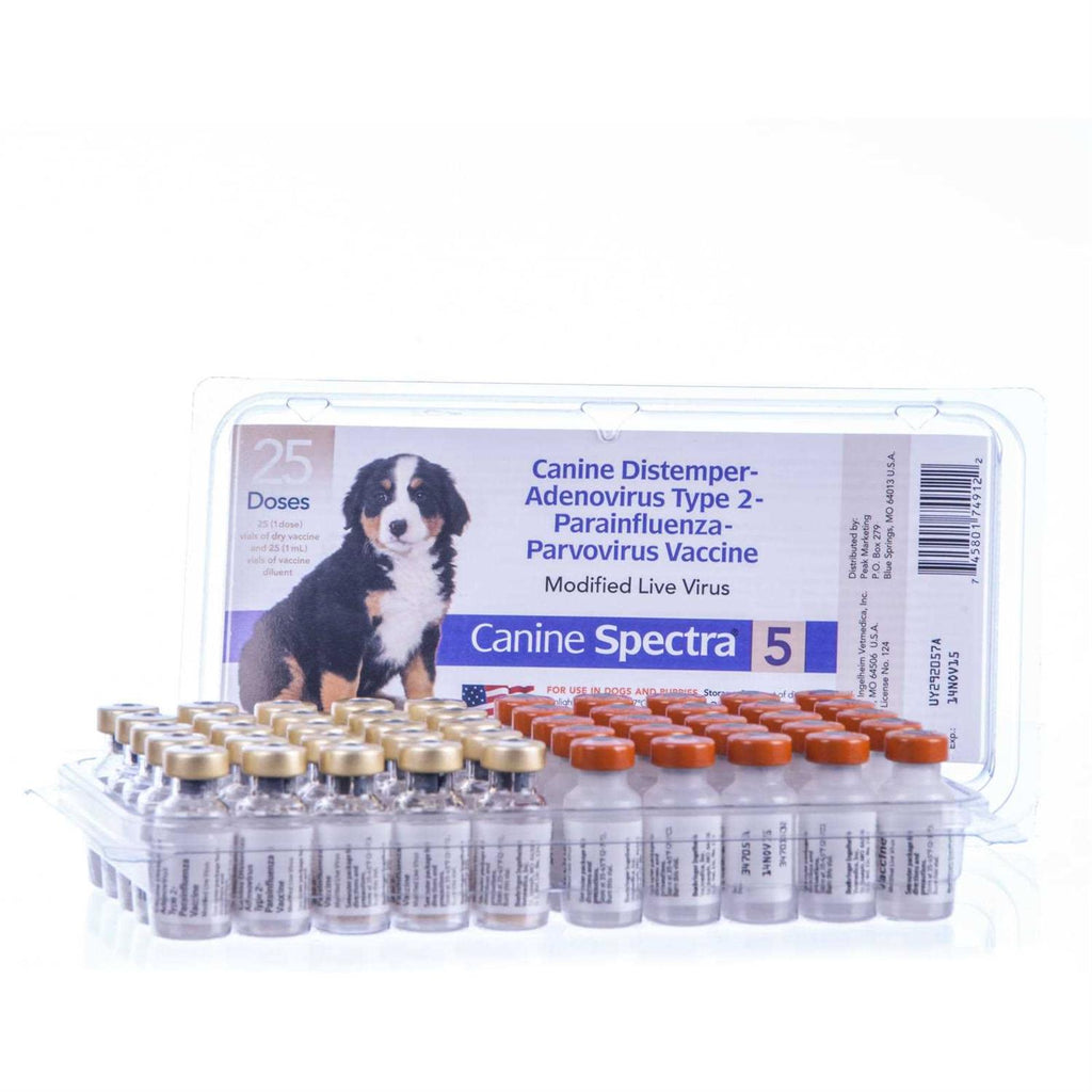 Dog Vaccine Y367571