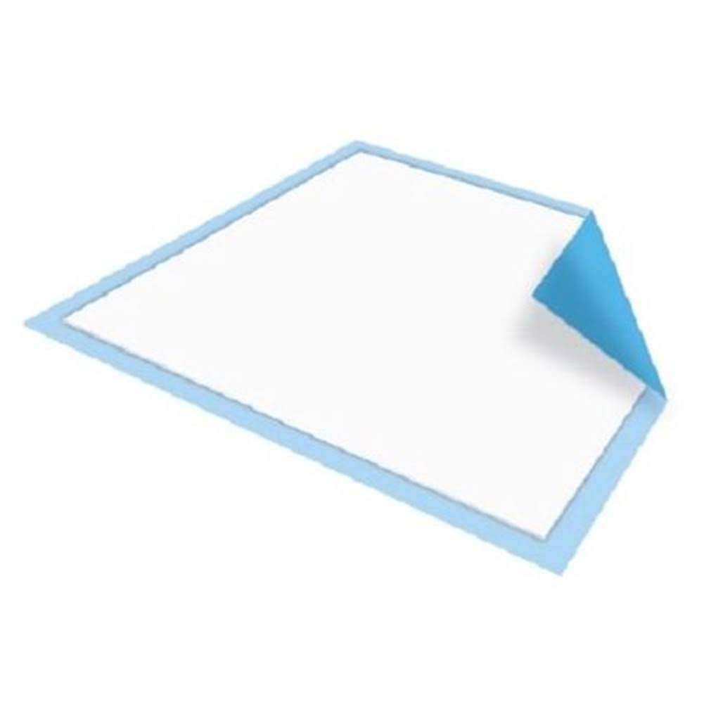 30 x 36 in 100 Count Blue Disposable Care Pads O1741